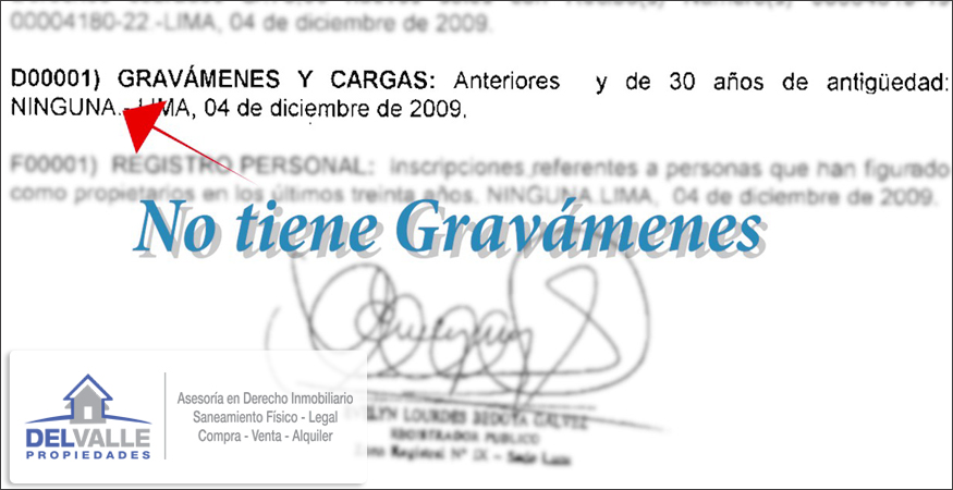 Que informacion contiene una partida registral